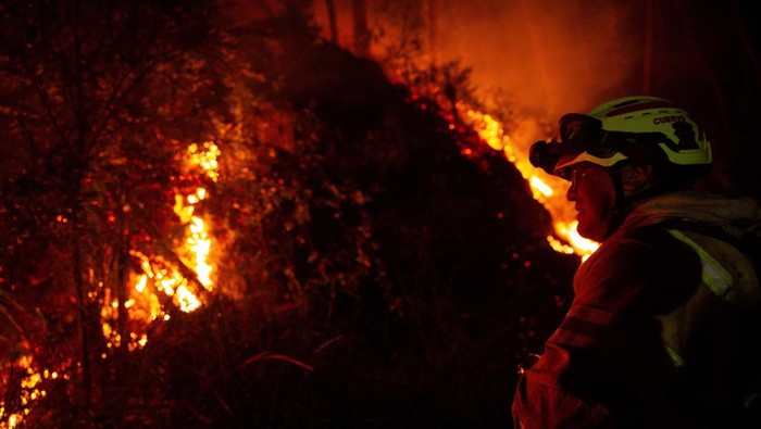 Firefighters get into a fire truck during emergency response to extinguish a forest fire on a hill in Bogota, Colombia January 24, 2024. REUTERS/Antonio Cascio