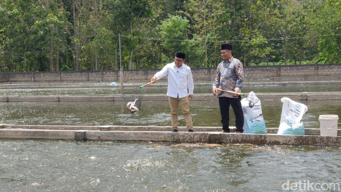 Cak Imin Bakal Bikin Menag Rangkap Tugas Urusi Ikan untuk Jemaah Haji