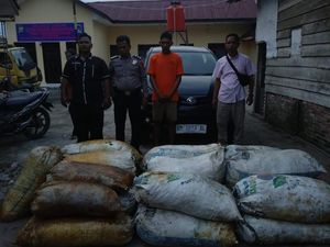 Curi 1 Ton Sawit Pakai Mobil, Pria di Labusel Ditangkap