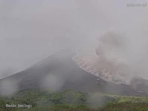 Merapi Muntahkan 3 Kali Awan Panas Sore Ini, Jarak Luncur 1,5 Km