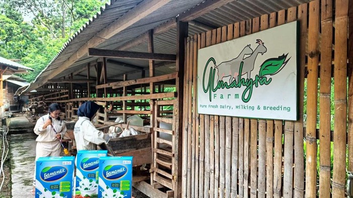 GAMAMILK, Solusi Inovatif untuk Kesehatan Persendian Lansia