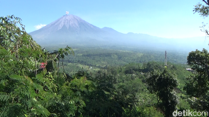 Gunung Semeru Erupsi Luncurkan Abu Vulkanik Setinggi 900 Meter