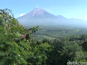 Gunung Semeru Erupsi Setinggi 900 Meter, Ini Imbauan PVMBG