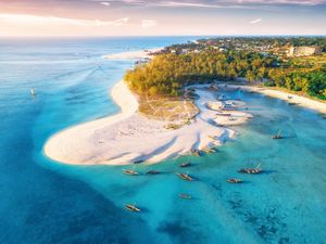 Tolong, Zanzibar Sedang Krisis Alkohol!