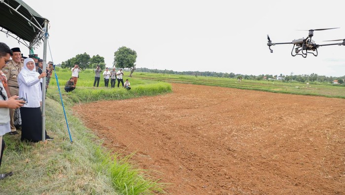 Khofifah menanam kedelai pakai drone di Bangkalan