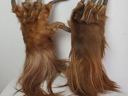 Benda Langka Koleksi Museum, Ada yang Menyeramkan