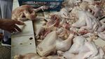 Menjelang Pemilu, Harga Ayam Potong Terpantau Stabil