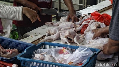 Menjelang Pemilu, Harga Ayam Potong Terpantau Stabil
