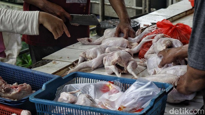 Menjelang Pemilu, Harga Ayam Potong Terpantau Stabil Jelang Pemilu 2024, harga ayam potong terpantau stabil. Harga ayam potong berada di kisaran Rp 40.000 hingga Rp 60.000/ekor.