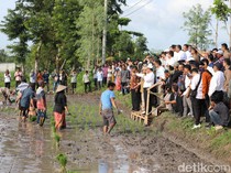 Mentan Amran Sulaiman Pimpin Gerakan Tanam Padi di NTB