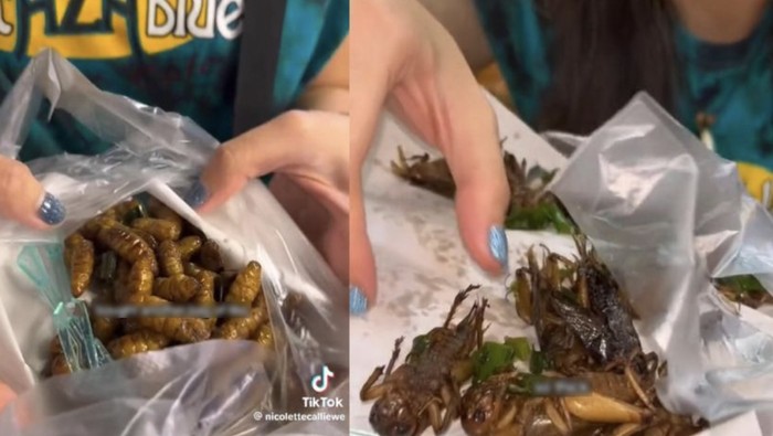 Nekat Cicip Belalang dan Ulat Sagu, TikToker Ini Keracunan