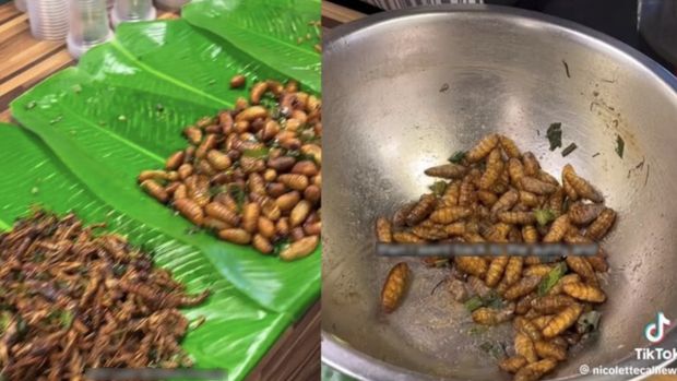 Nekat Cicip Belalang dan Ulat Sagu, TikToker Ini Keracunan
