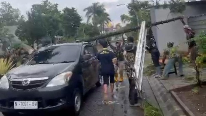 Pohon tumbang timpa mobil di Malang