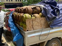 Polisi Gagalkan Penyelundupan 400 Tabung LPG 3 Kg-2 Ton BBM Subsidi di Konawe