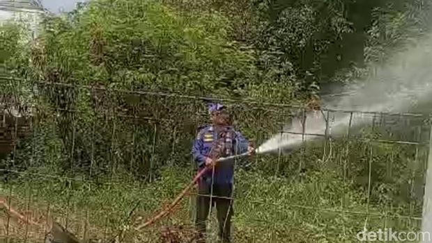 Serangan ulat bulu di Perumahan Griya Sumber Indah (GSI), Keluarahan Tukmudal, Kecamatan Sumber, Kabupaten Cirebon.