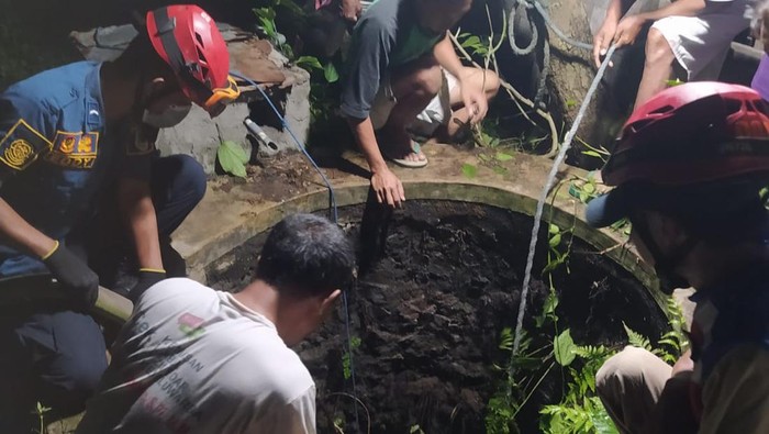 Tim Damkar Klaten dan warga evakuasi sapi di Desa Nangsri, Kecamatan Manisrenggo.