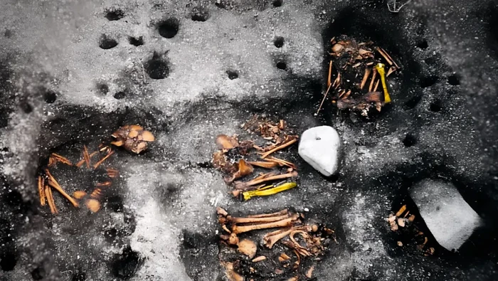 Tulang Belulang Ini Jadi Bukti Sifilis Muncul di Brasil 2.000 Tahun Lalu