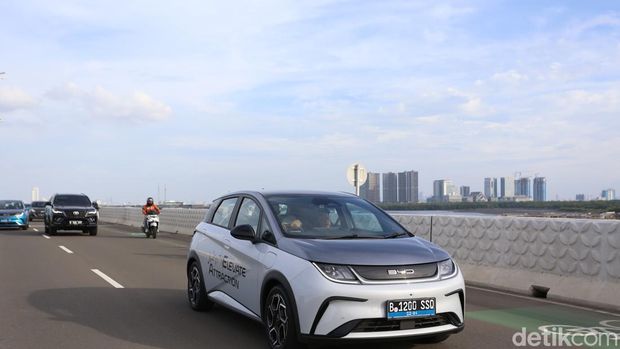 BYD Dolphin.