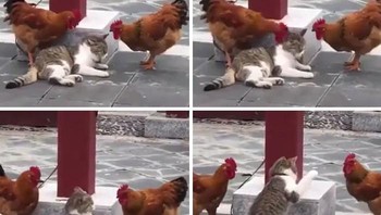 Apakah ini bisa disebut sebagai perundungan juga? Foto: (Bored Panda).