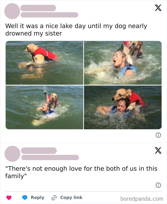 Saat menjalani aktivitas sehari-hari, pasti ada saja momen lucu yang terjadi. Nah beberapa di antaranya seperti yang terekam kamera berikut ini. Lucu deh.