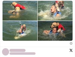 Deretan Kejadian Lucu yang Tertangkap Kamera, Ngakak Deh