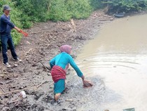 Perempuan Tewas Tergeletak di Empang Lombok Tengah Ternyata Dibunuh Suami