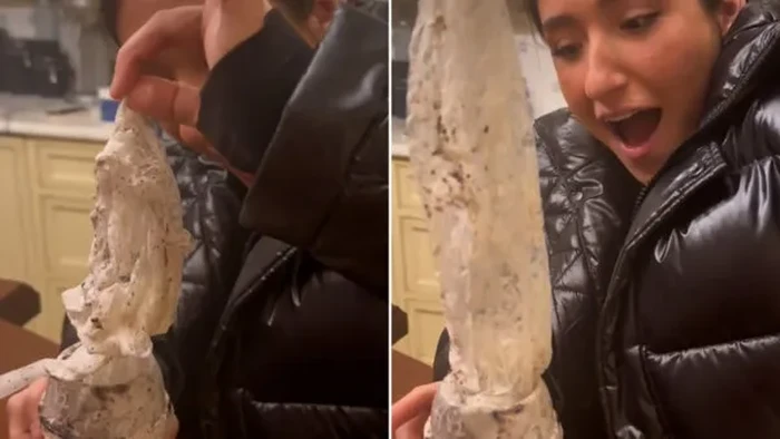 temuan plastik pada sajian es krim