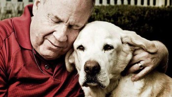 Seekor anjing pemandu bernama Roselle memimpin sekelompok orang termasuk pemiliknya yang buta menuruni 78 anak tangga sebelum Menara Utara runtuh pada 9/11. Dia hanya berhenti untuk memberikan ciuman kepada seorang wanita yang sedang mengalami serangan panik. Foto: Boredpanda