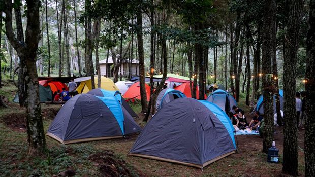 Hutan Cempaka Pasuruan.