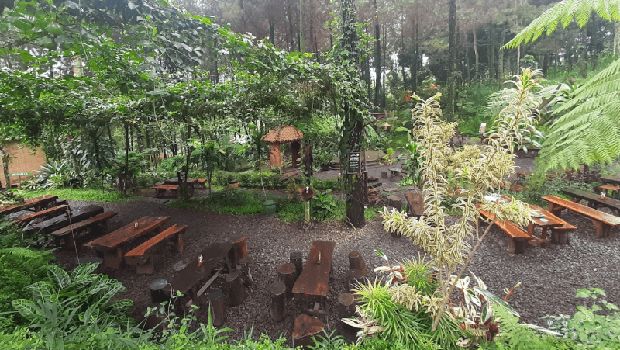 Hutan Cempaka Pasuruan.