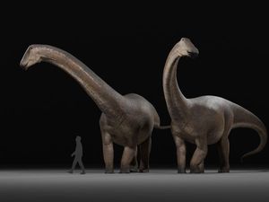 Kadal Raksasa Ini Jadi Dinosaurus Terakhir di Muka Bumi