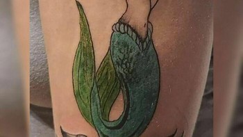 Duh wajah si Ariel harusnya kan cantik, tapi ini kok jadi begini. Foto: Boredpanda