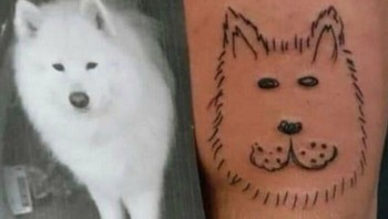 Ini mah jadinya imut lucu. Foto: Boredpanda