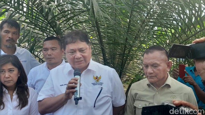 Menko Bidang Perekonomian Airlangga Hartarto saat di Deli Serdang (Nizar Aldi/detikSumut)