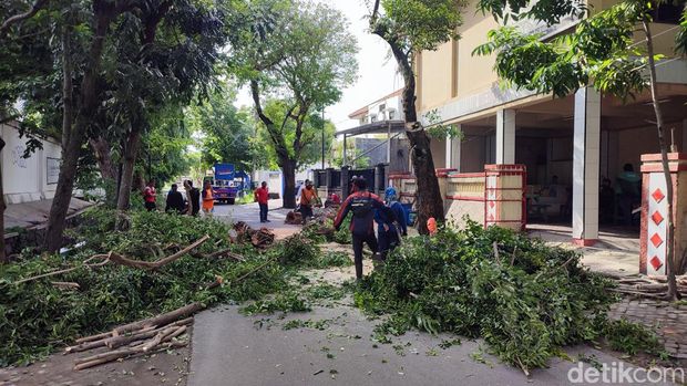 Satu buah mobil ringsek usai tertimpa pohon di depan SMK Grafika, Semarang, Jumat (26/1/2024).