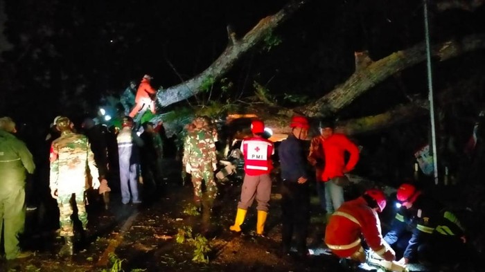 Pohon tumbang di kawasan Puncak, Cianjur, menyebabkan akses jalan tertutup. Arus lalu lintas dari Cianjur menuju Puncak ataupun sebaliknya dialihkan sementara ke jalur alternatif Jonggol dan Sukabumi, Jumat (26/1/2024)