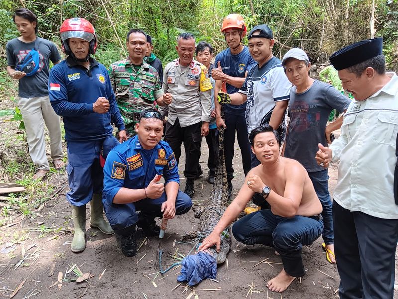Proses evakuasi buaya di Sungai Tepus, Kalasan, Sleman, Jumat (26/1/2024).