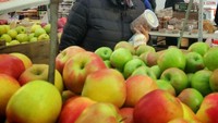 Momennya pun banyak ketika mengunjungi luar negeri. Tak hanya soal urusan negara, tetapi ada juga momen liburan dan mengunjungi pasar buah di Amerika Serikat. Foto: Instagram @retno_marsudi