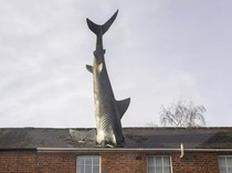 Ada Hiu 7 Meter Tembus Atap, Rumah Ini Viral hingga Jadi Kontroversi