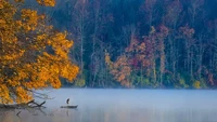 Lilly Zhang menemukan kegembiraan dalam mengabadikan momen indah sebagai fotografer hobi. Zhang menghasilkan serangkaian bidikan lanskap halus yang memukau di Marsh Creek State Park, Pennsylvania, Amerika Serikat.
