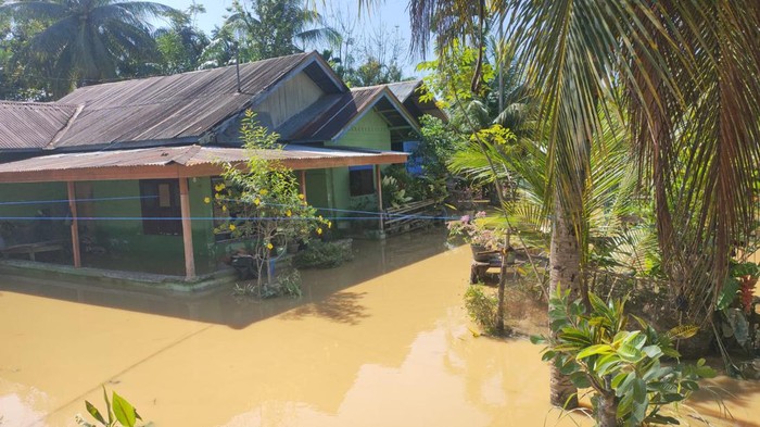 Banjir melanda Kabupaten Bireuen, Aceh. Banjir dipicu hujan dengan intensitas tinggi pada Kamis (25/1) malam. (dok BNPB)