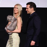 Claudia memadukan gaunnya dengan pointy shoes, juga dari koleksi Versace, warna silver. Foto: Instagram/@claudiaschiffer