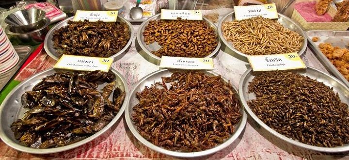 Embrio Bebek hingga Laba-laba Goreng, Makanan Terburuk di Asia Tenggara