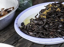 Embrio Bebek hingga Laba-laba Goreng, Makanan Terburuk di Asia Tenggara