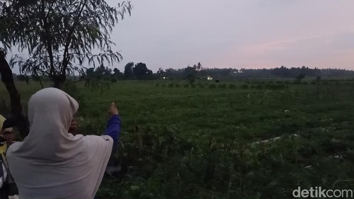 Lokasi 12 warga  tersambar petir saat memanen semangka di Desa Budeng, Jembrana, Bali, Sabtu (27/1/2024).