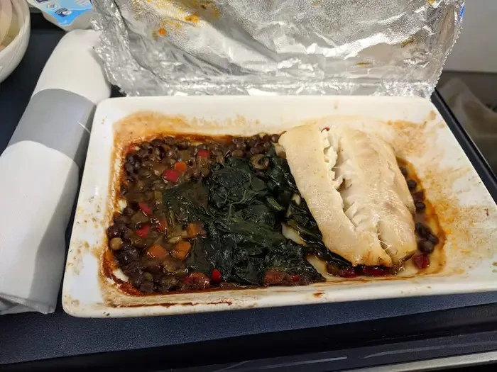 Makanan pesawat yang zonk