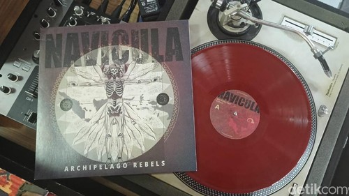 Navicula rilis album Archipelago Rebels dalam format piringan hitam.