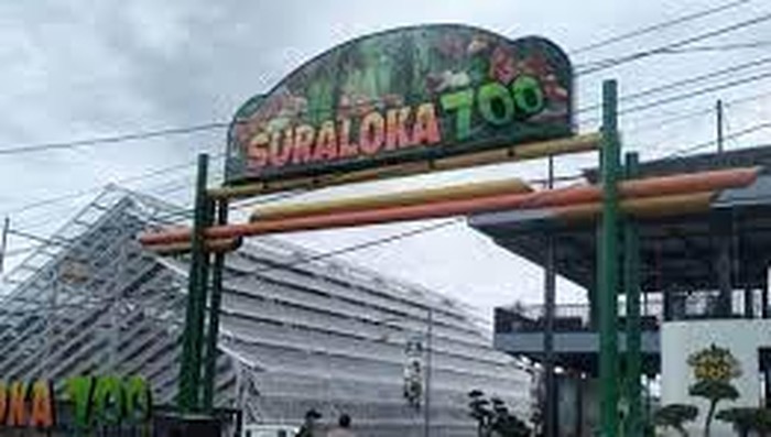Suraloka Zoo, Kebun Binatang di Yogyakarta.