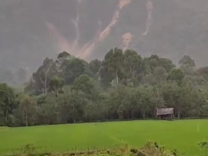Longsor di Bukit Tanjung Agung sebabkan lahan pertanian dan perkebunan terdampak
