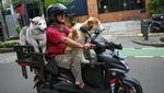300 Peserta Ramaikan Parade Motor Listrik di Jakarta